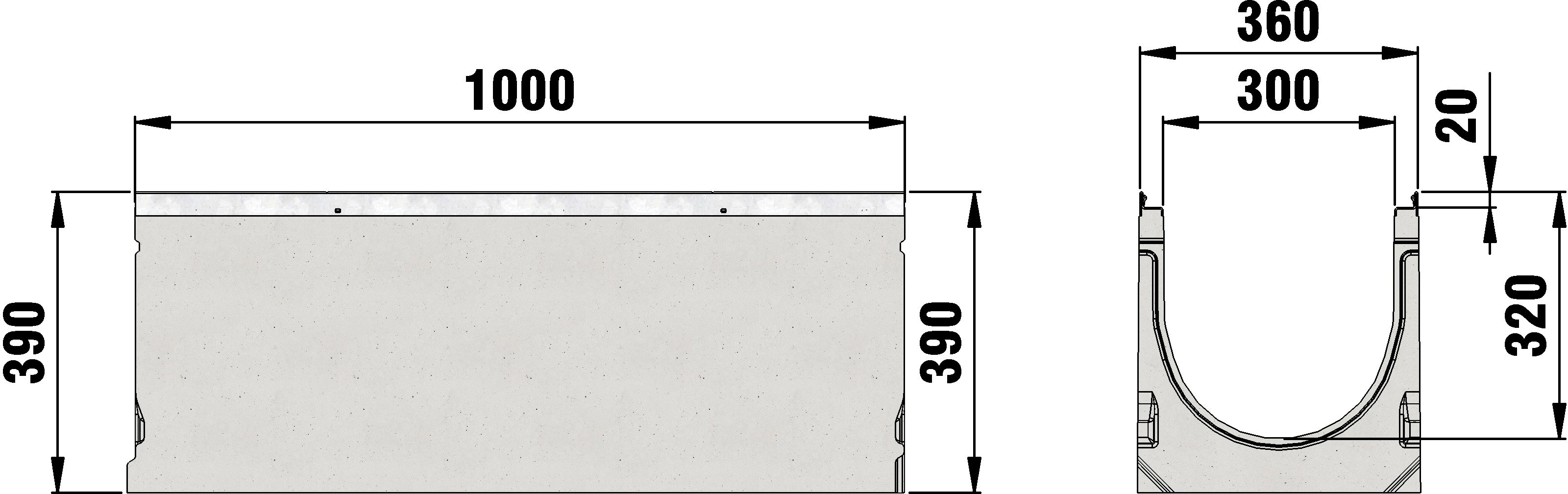 Disegno